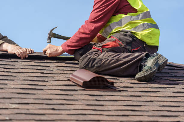 Best Roof Leak Repair  in Green Oaks, IL